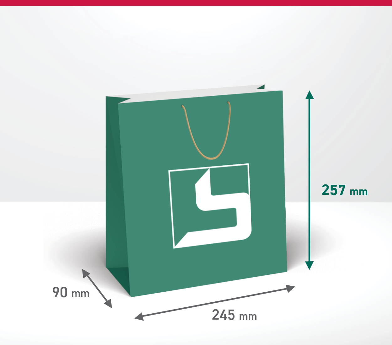 Darilna vrečka - pokončna: 245x90x257 mm (4.180-A)